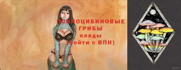 спайс Аша